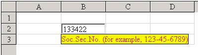 Regular Expression Cell Type with Message