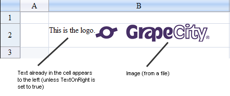 Image Cell Type Example