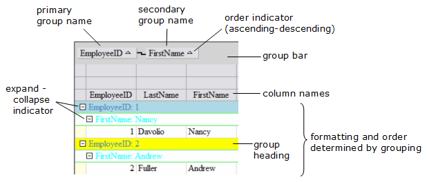 grouping terminology