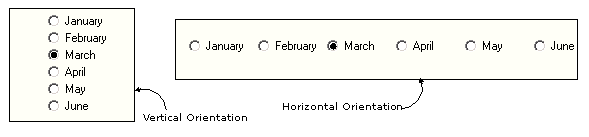 Orientations of Options Buttons