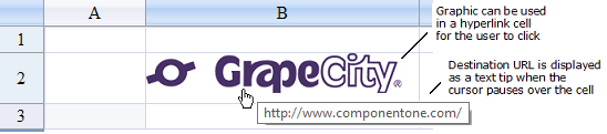 Hyperlink Cell Example with text tip