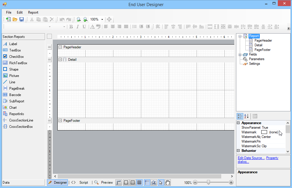 Creating a Basic End User Report Designer (Pro Edition)